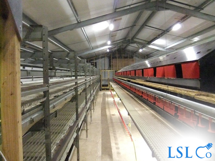 LED Linear Lighting & Lighting Control, Multi-tier Chicken House – Somerset 2014