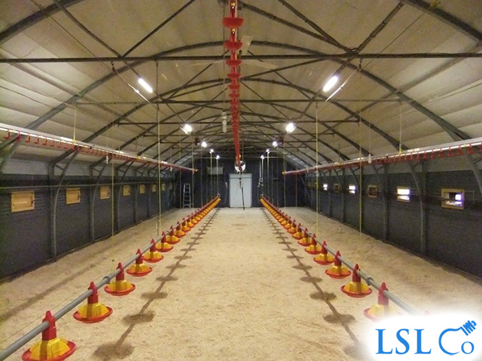 LED Linear Lighting & Lighting Control, Broiler Chicken House – Wiltshire 2013